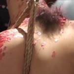 Thumbnail of post image 178