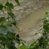 Thumbnail of related posts 102